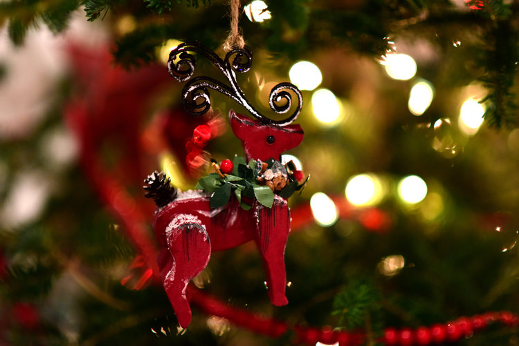 Christmas Decorating Makes Us Happier | Blog 305 Florida Contractors