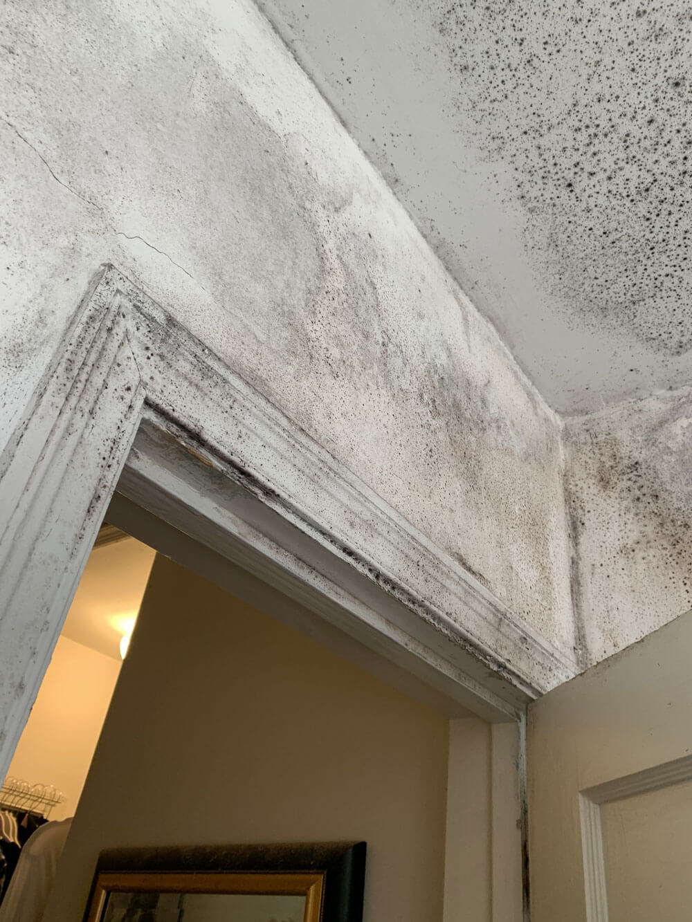 You are currently viewing Mold on Walls and How to Remove It